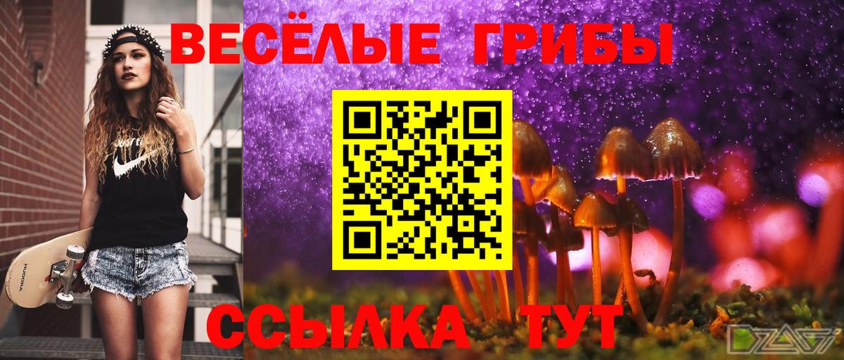 Галлюциногенные грибы мицелий Гусь-Хрустальный