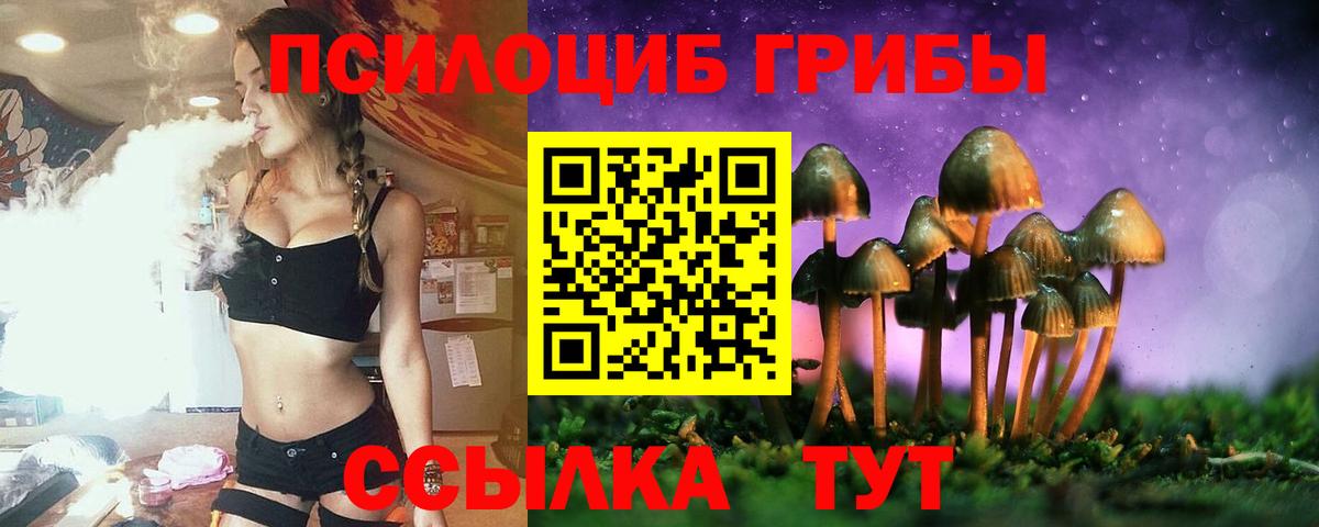 Псилоцибиновые грибы мицелий  Вход с VPN  Гусь-Хрустальный 